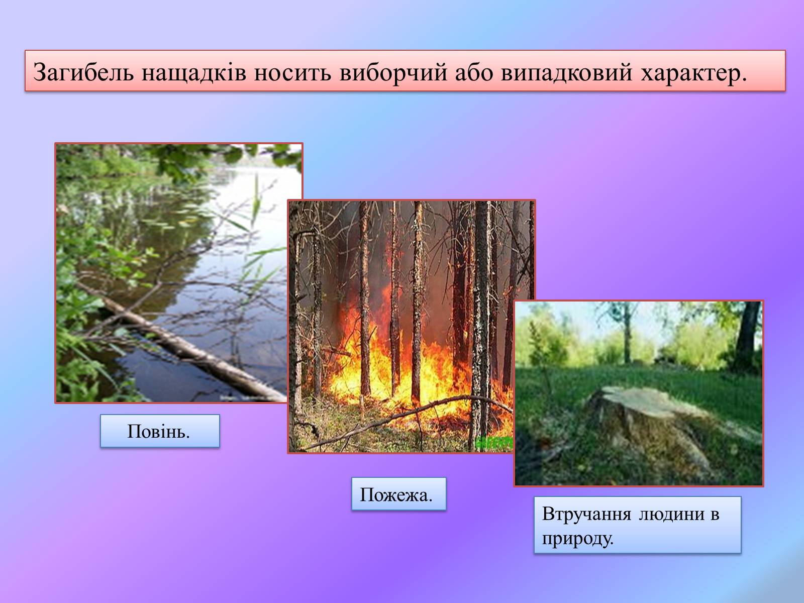 Презентація на тему «Боротьба за існування.» - Слайд #6 Презентація на тему «Боротьба за існування.» - Слайд #6