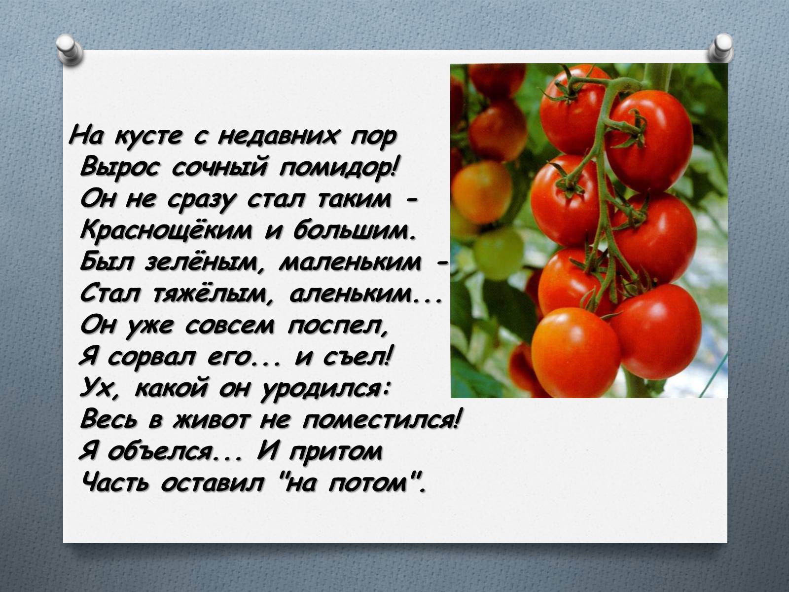 Презентація на тему «Томати» - Слайд #1 Презентація на тему «Томати» - Слайд #1