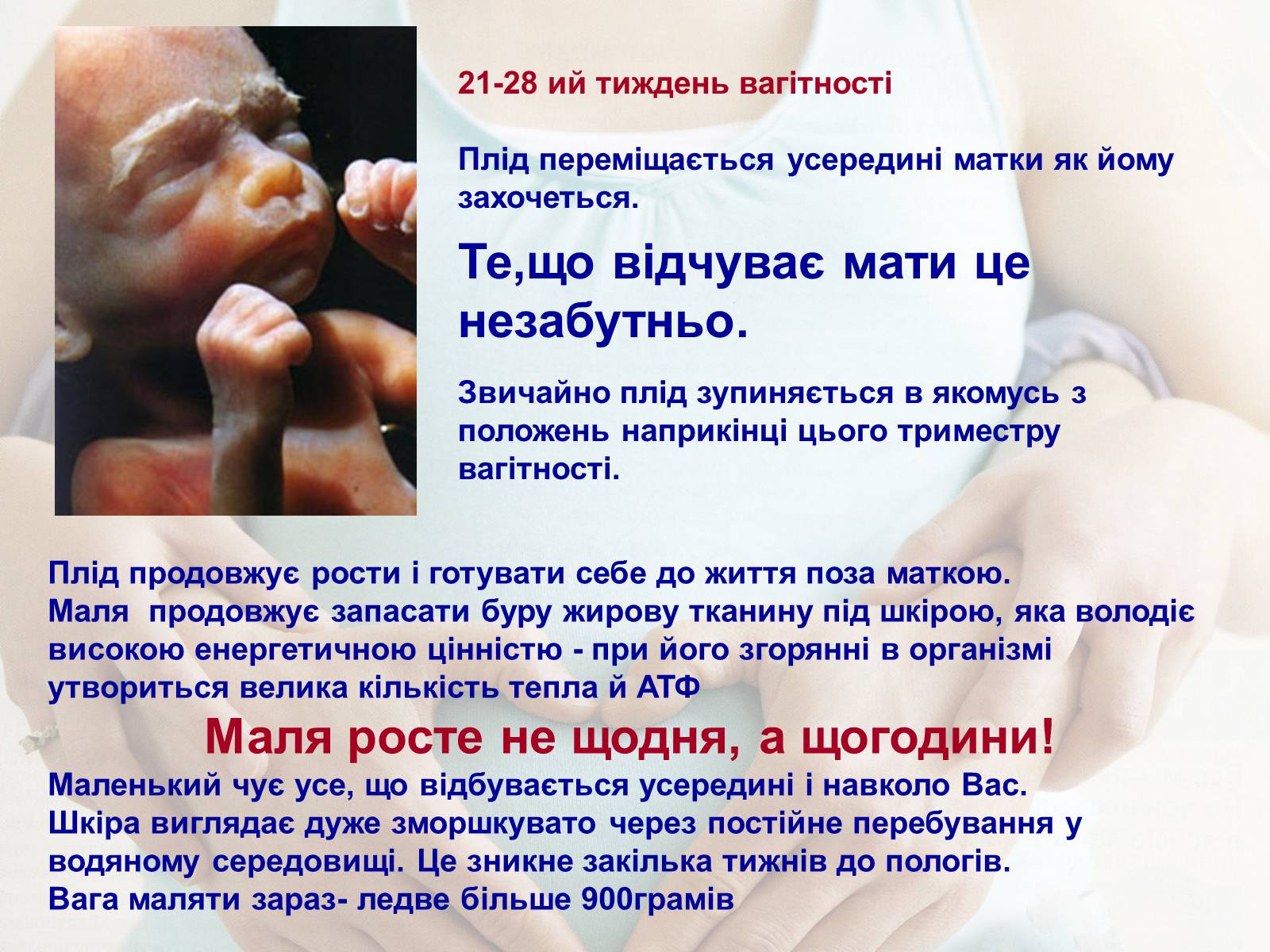 Презентація на тему «Життя до народження» - Слайд #18 Презентація на тему «Життя до народження» - Слайд #18