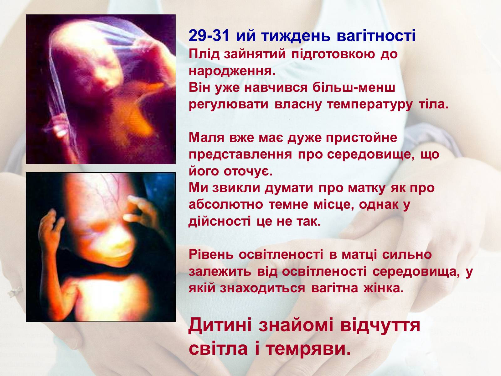 Презентація на тему «Життя до народження» - Слайд #19 Презентація на тему «Життя до народження» - Слайд #19
