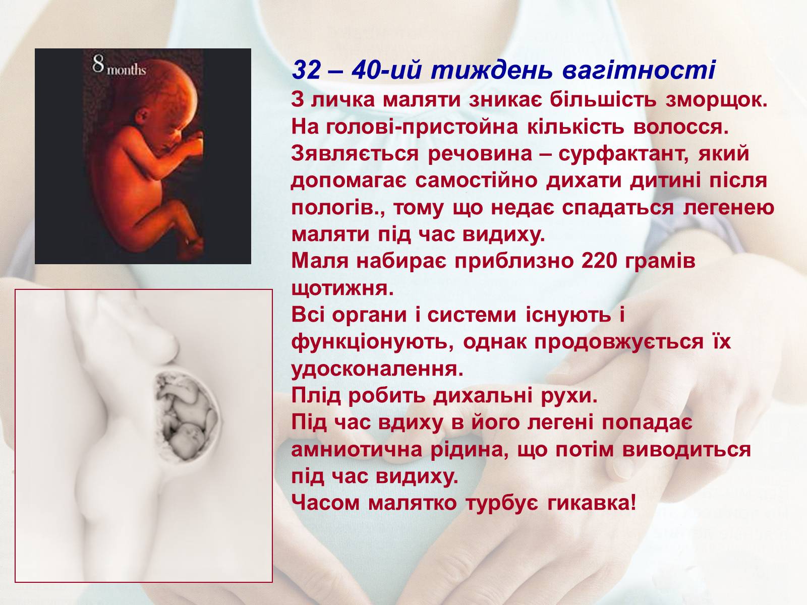 Презентація на тему «Життя до народження» - Слайд #20 Презентація на тему «Життя до народження» - Слайд #20