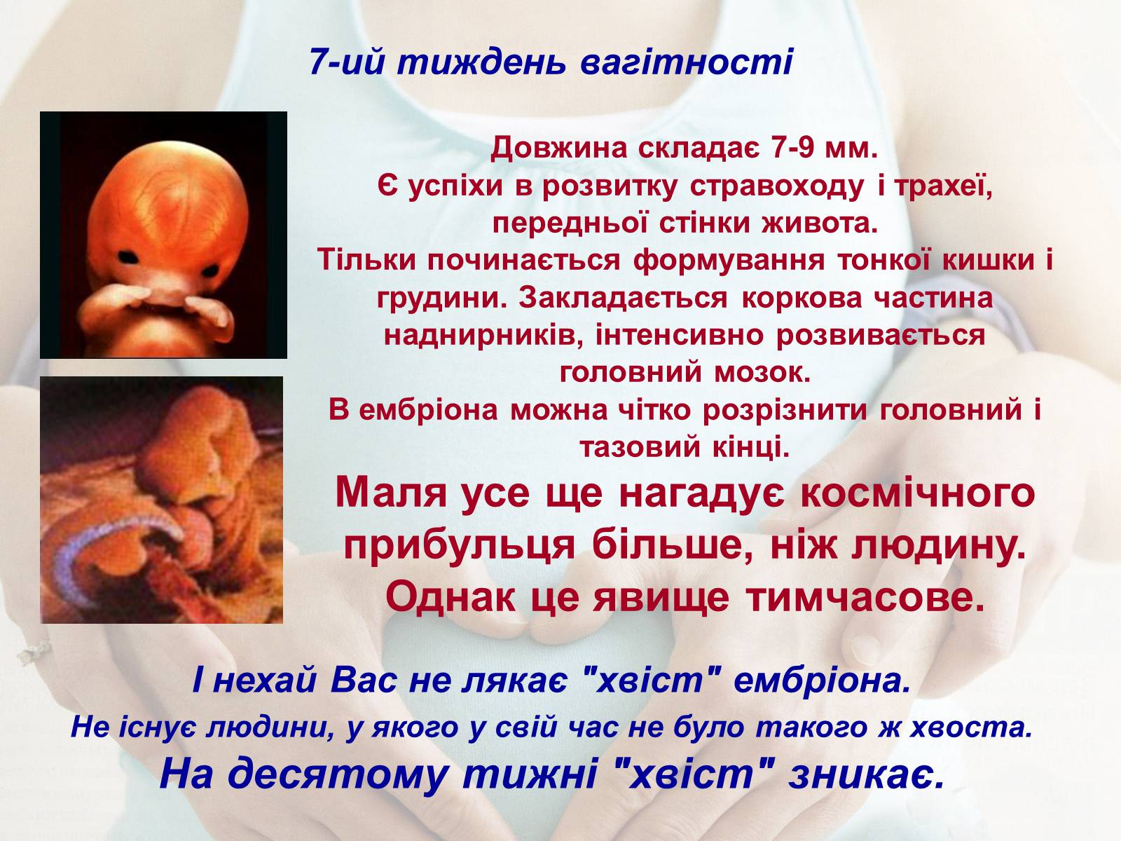 Презентація на тему «Життя до народження» - Слайд #9 Презентація на тему «Життя до народження» - Слайд #9