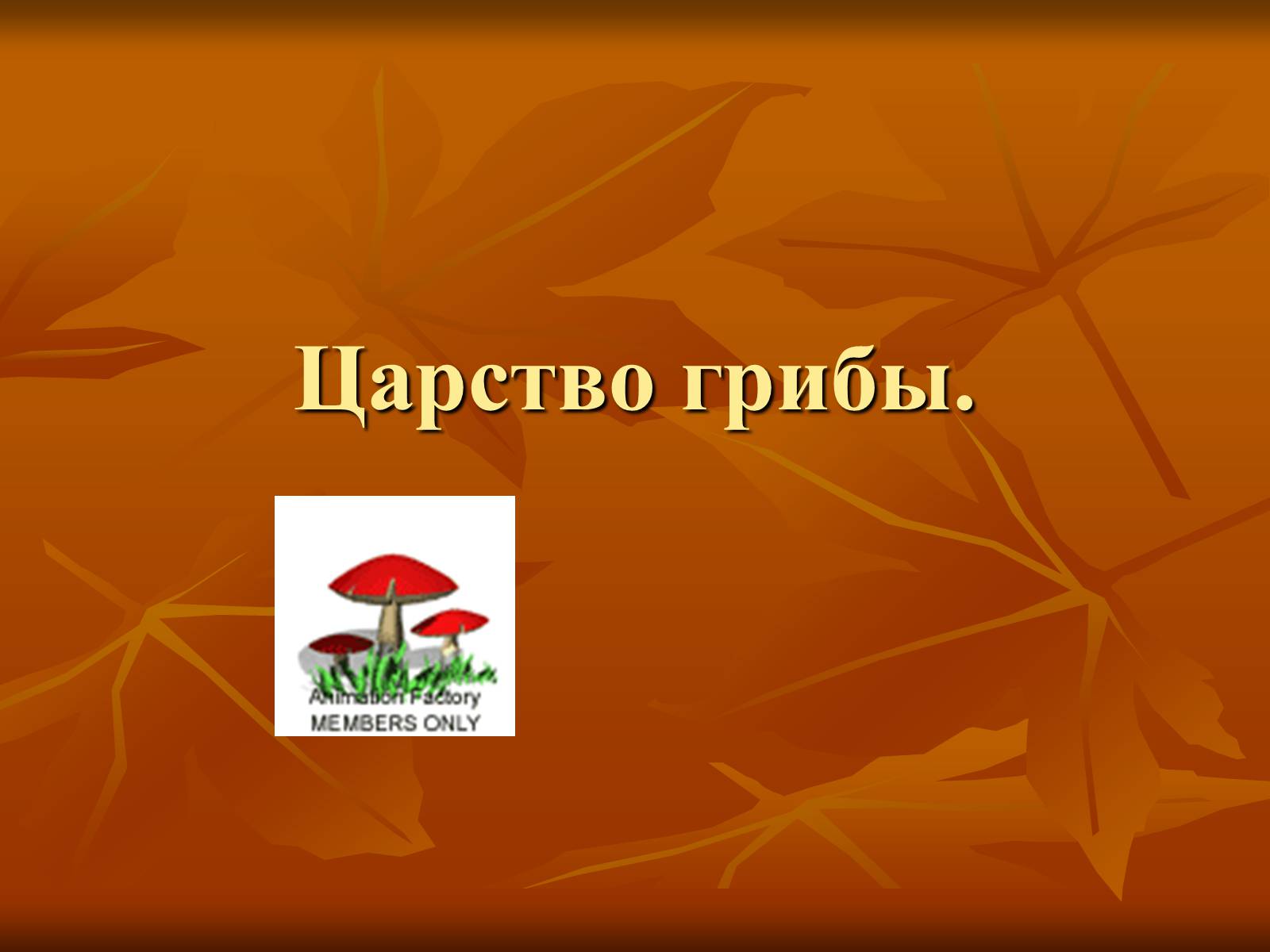 Презентація на тему «Царство грибы» (варіант 1) - Слайд #1