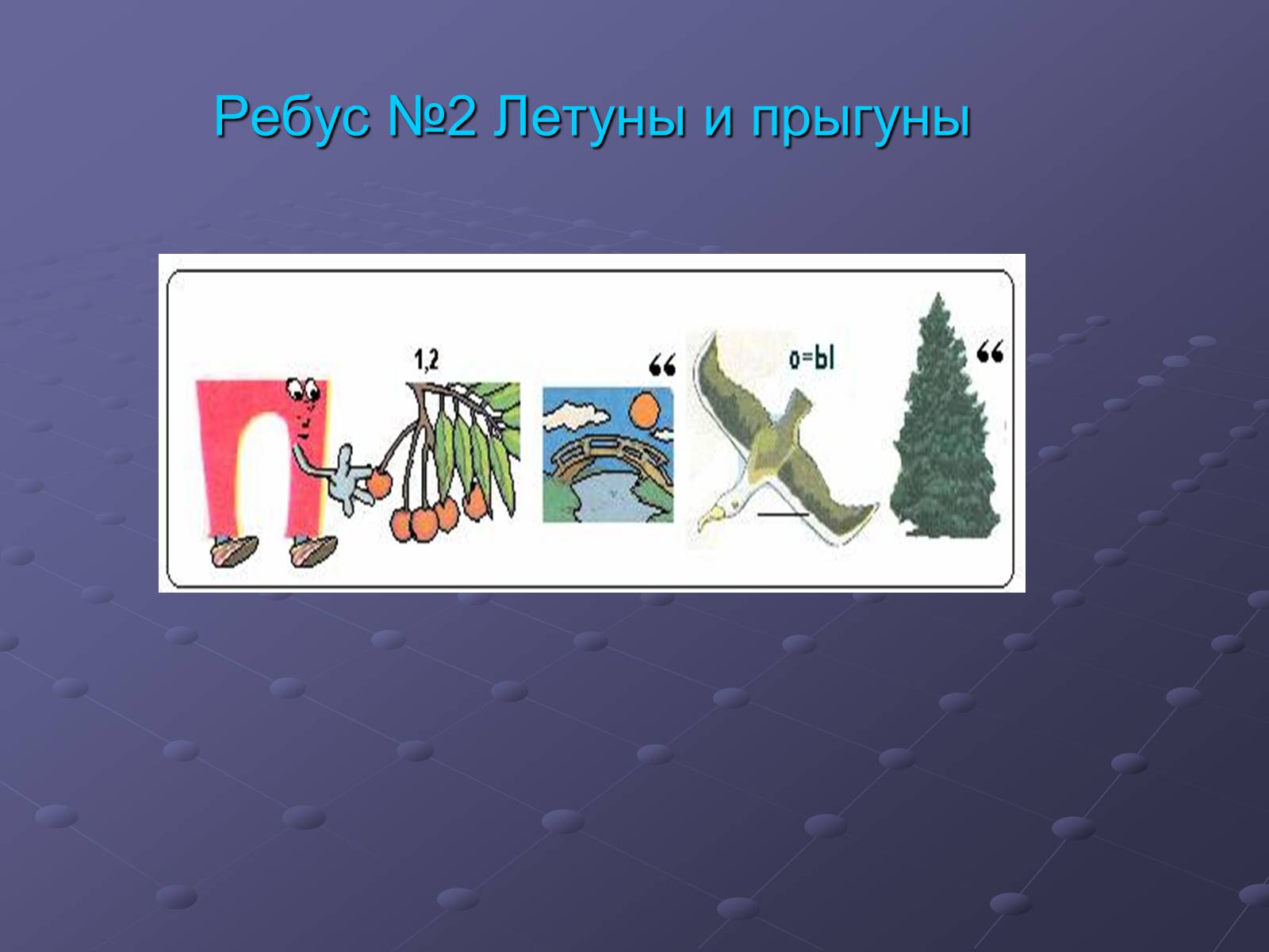 Презентація на тему «Класс Насекомые» - Слайд #13 Презентація на тему «Класс Насекомые» - Слайд #13