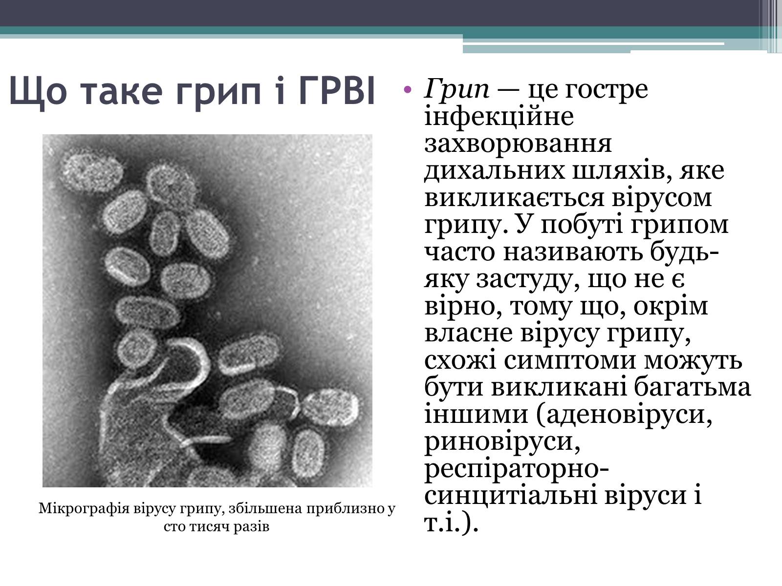 Презентація на тему «Вірус грипу» - Слайд #2 Презентація на тему «Вірус грипу» - Слайд #2