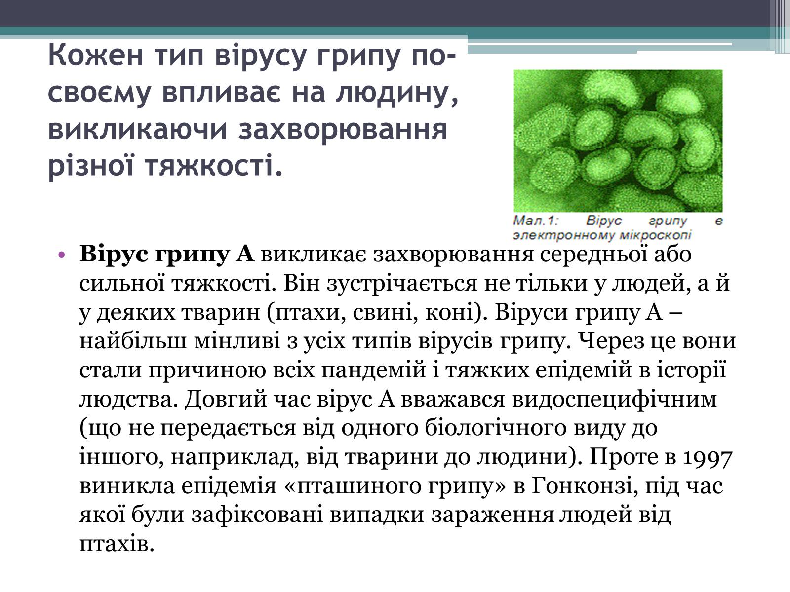 Презентація на тему «Вірус грипу» - Слайд #5 Презентація на тему «Вірус грипу» - Слайд #5