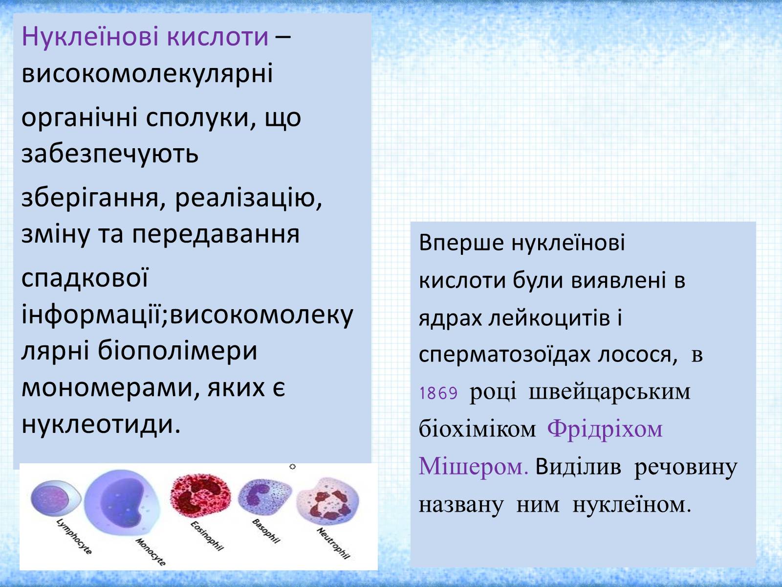 Презентація на тему «Нуклеїнові кислоти» (варіант 2) - Слайд #3 Презентація на тему «Нуклеїнові кислоти» (варіант 2) - Слайд #3