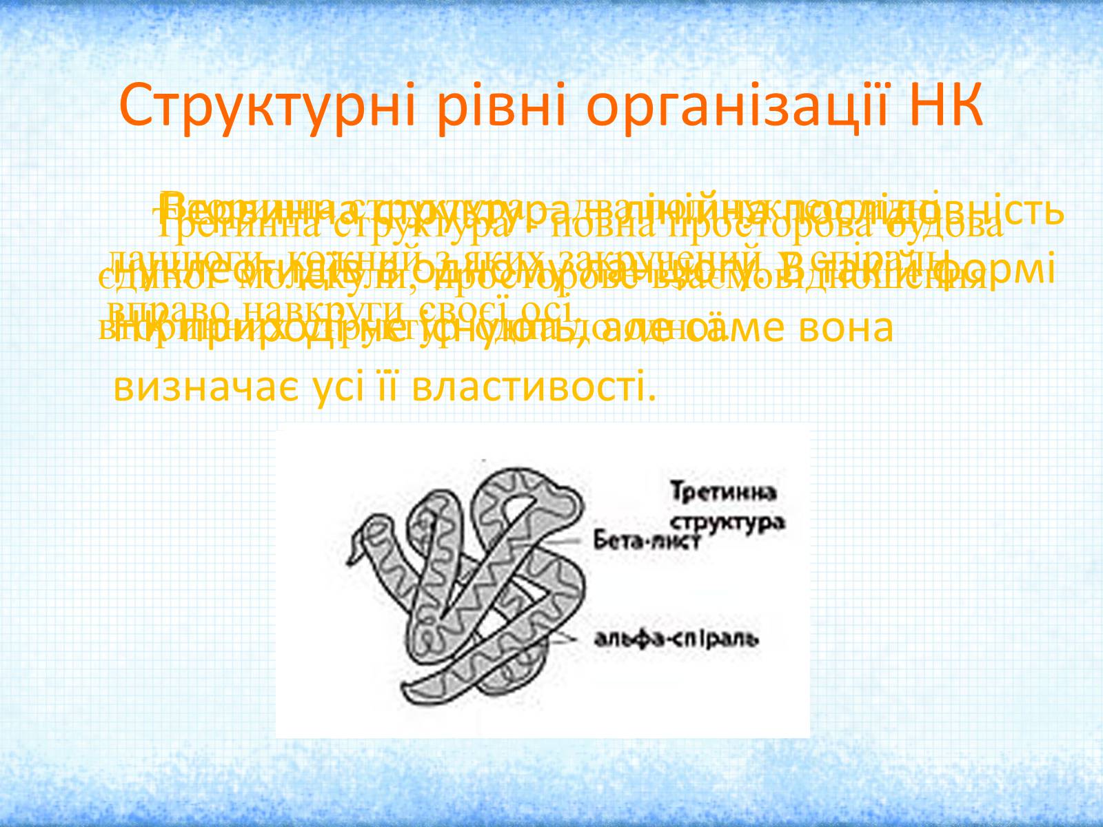 Презентація на тему «Нуклеїнові кислоти» (варіант 2) - Слайд #5 Презентація на тему «Нуклеїнові кислоти» (варіант 2) - Слайд #5