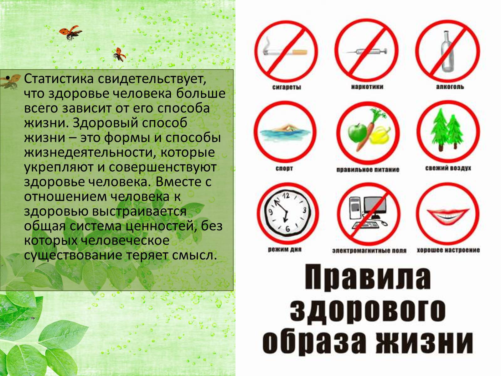 Презентація на тему «Здоровий спосіб життя» (варіант 8) - Слайд #4 Презентація на тему «Здоровий спосіб життя» (варіант 8) - Слайд #4