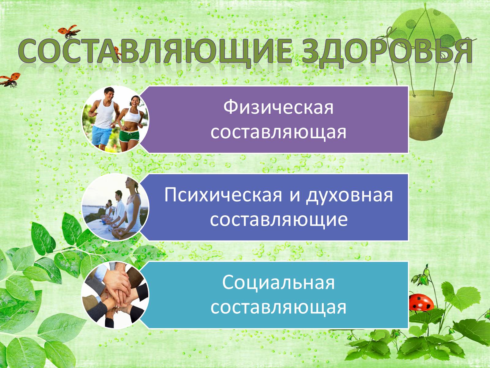 Презентація на тему «Здоровий спосіб життя» (варіант 8) - Слайд #5 Презентація на тему «Здоровий спосіб життя» (варіант 8) - Слайд #5