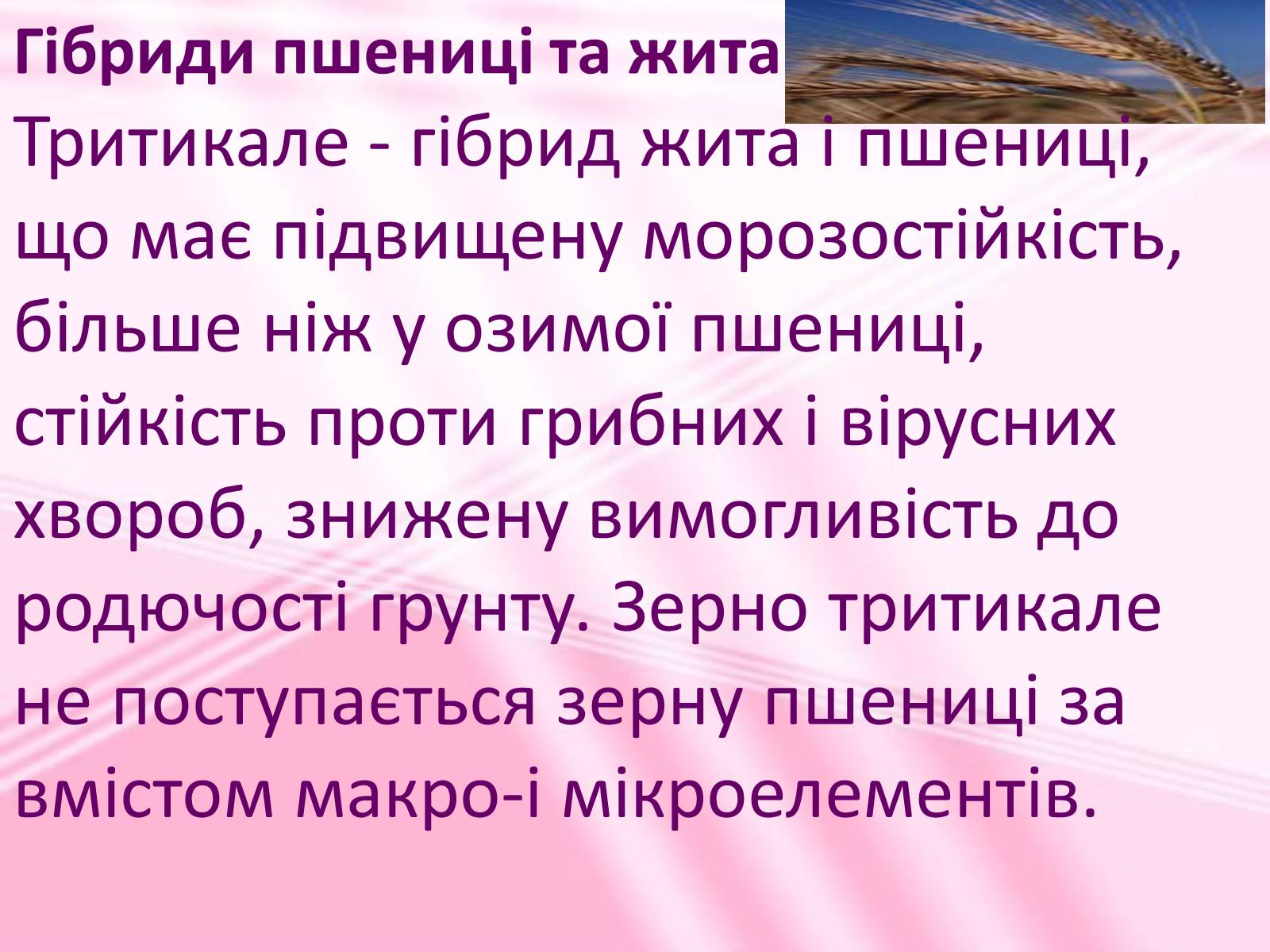 Презентація на тему «Віддалена гібридизація рослин» - Слайд #10 Презентація на тему «Віддалена гібридизація рослин» - Слайд #10