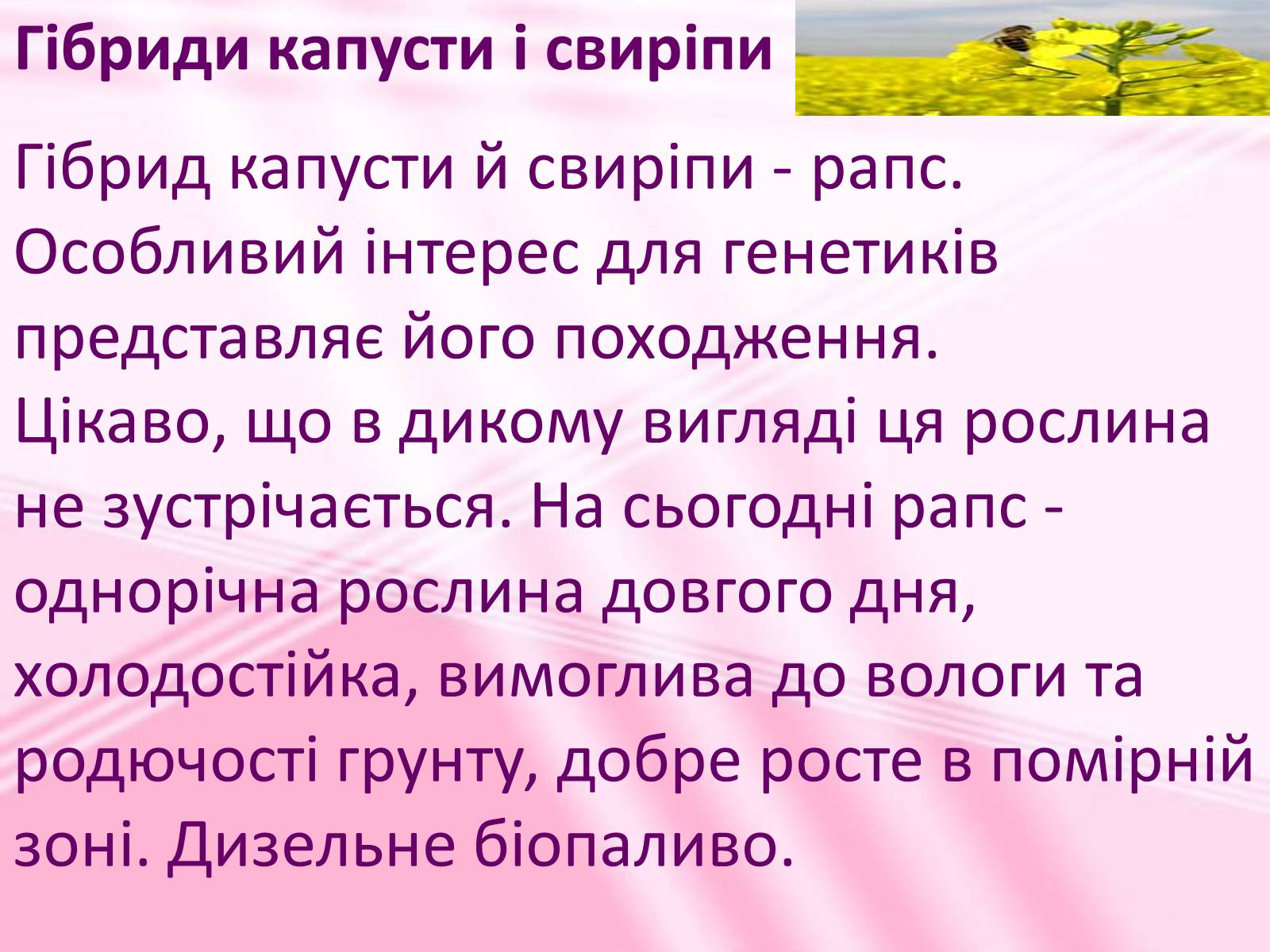 Презентація на тему «Віддалена гібридизація рослин» - Слайд #11 Презентація на тему «Віддалена гібридизація рослин» - Слайд #11