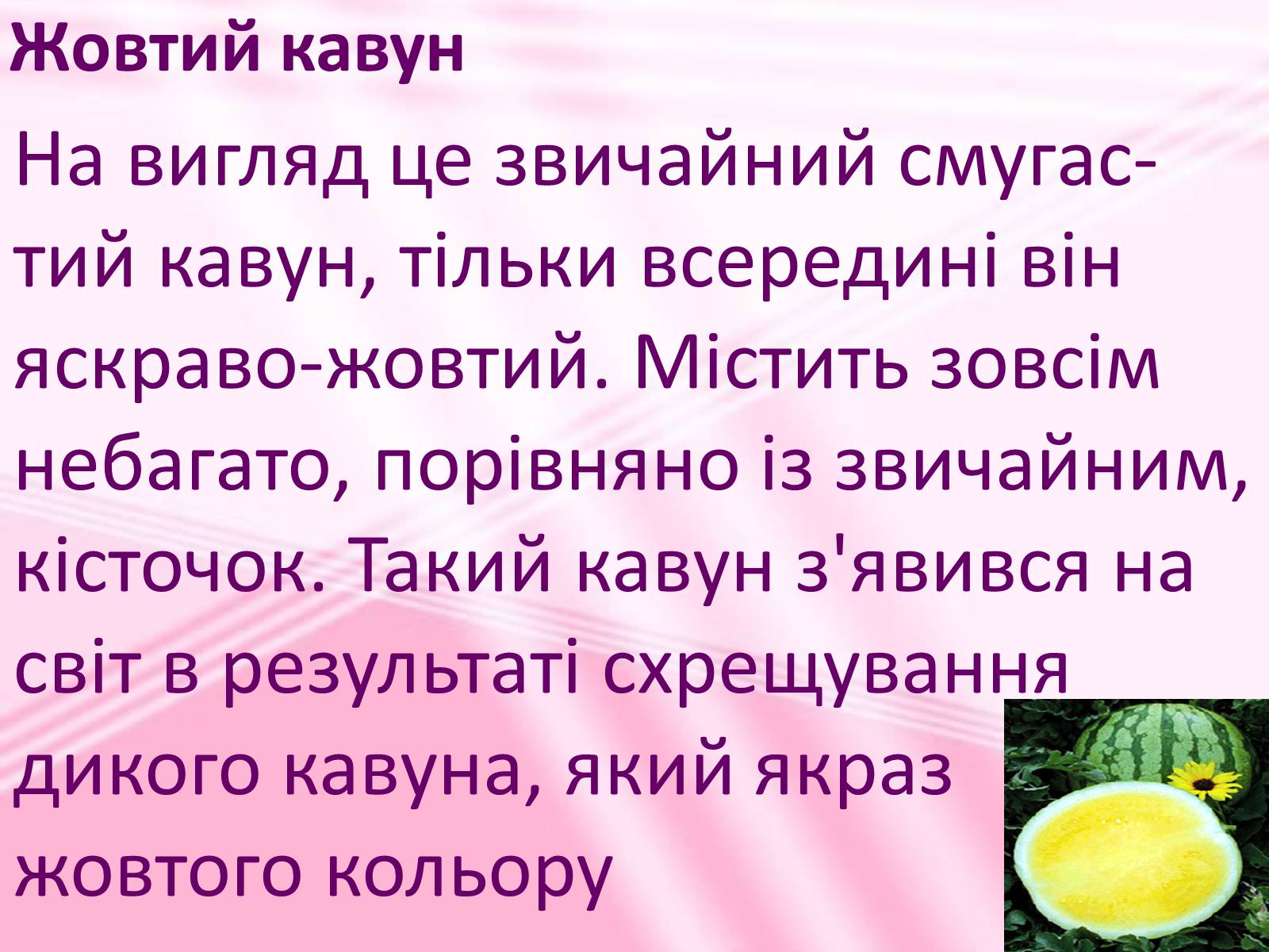 Презентація на тему «Віддалена гібридизація рослин» - Слайд #14 Презентація на тему «Віддалена гібридизація рослин» - Слайд #14