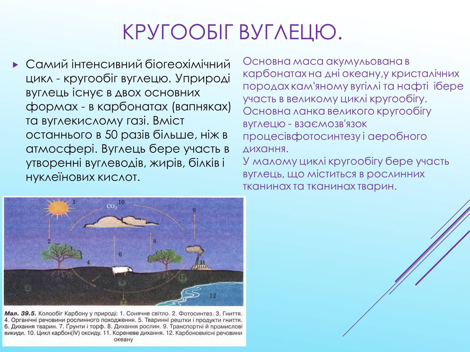 Презентація на тему «Кругообіг речовин у природі» (варіант 3) - Слайд #5 Презентація на тему «Кругообіг речовин у природі» (варіант 3) - Слайд #5