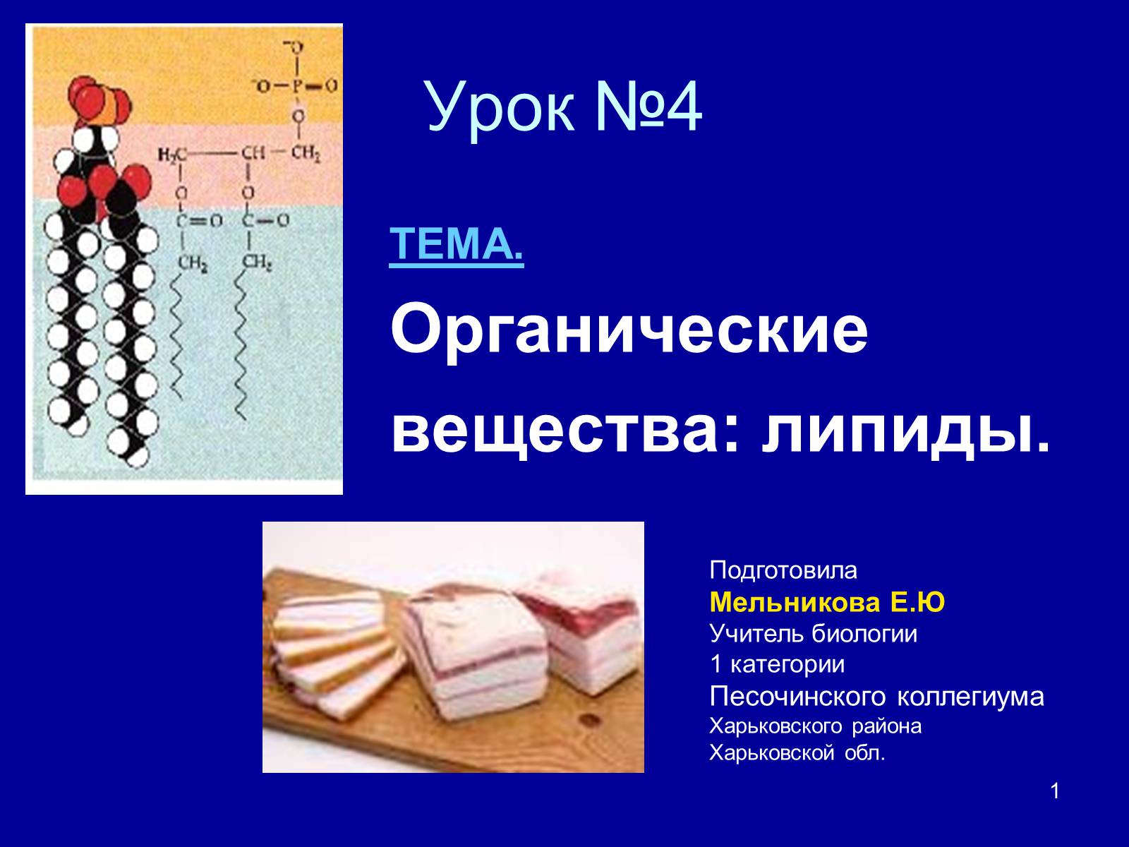 Презентація на тему «Органические вещества: липиды» - Слайд #1 Презентація на тему «Органические вещества: липиды» - Слайд #1