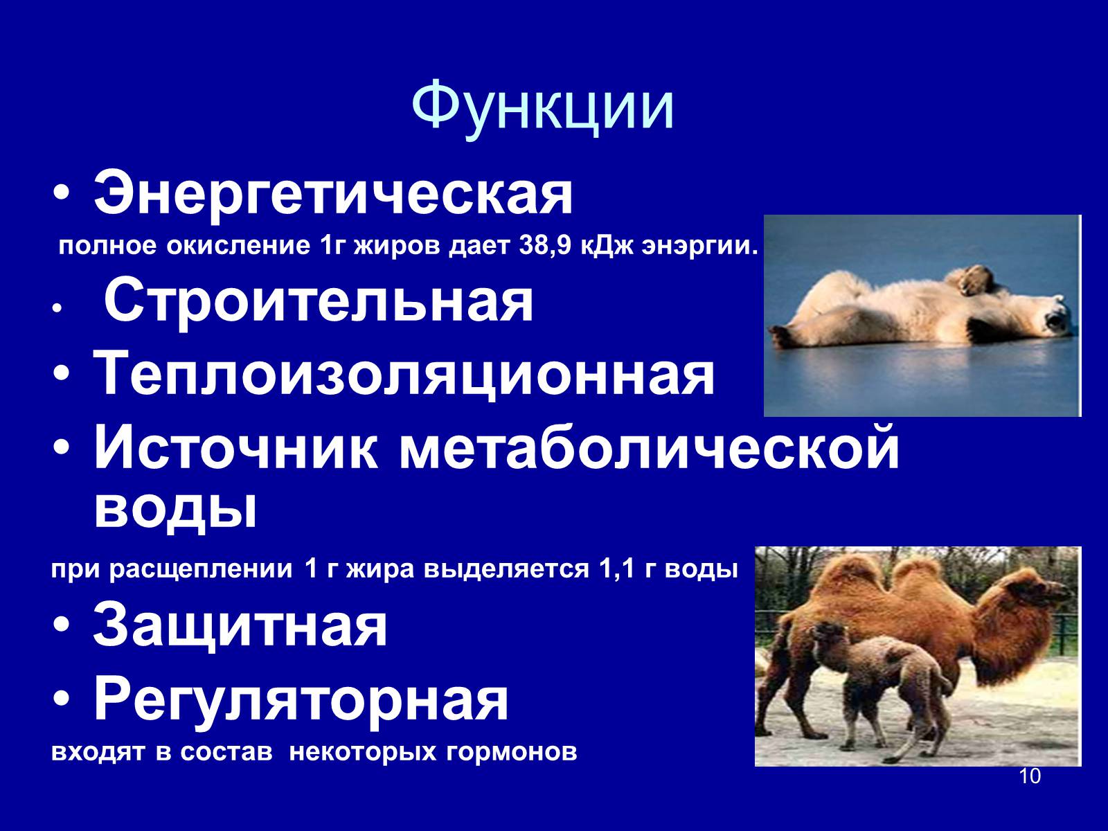 Презентація на тему «Органические вещества: липиды» - Слайд #10 Презентація на тему «Органические вещества: липиды» - Слайд #10