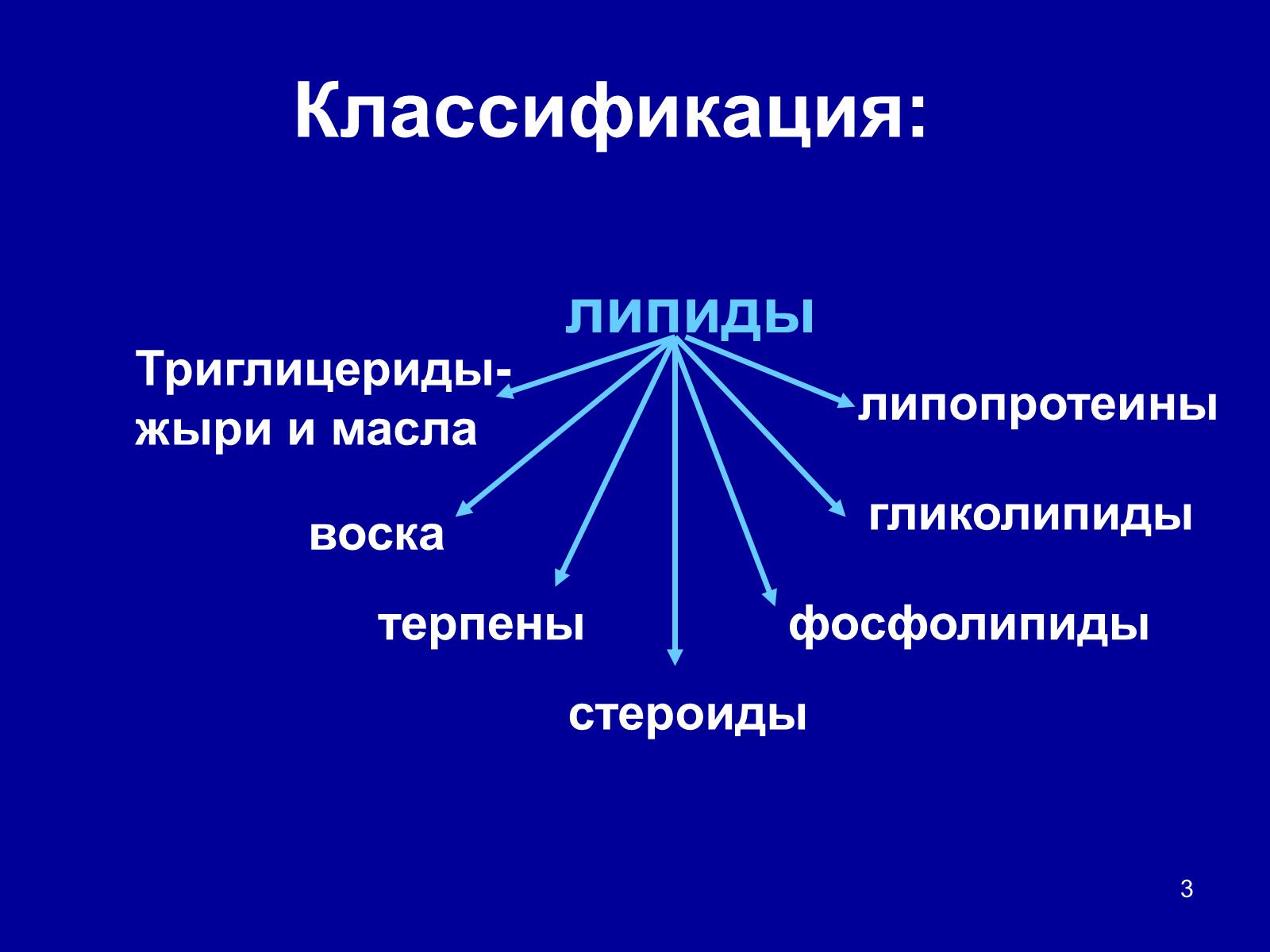 Презентація на тему «Органические вещества: липиды» - Слайд #3 Презентація на тему «Органические вещества: липиды» - Слайд #3