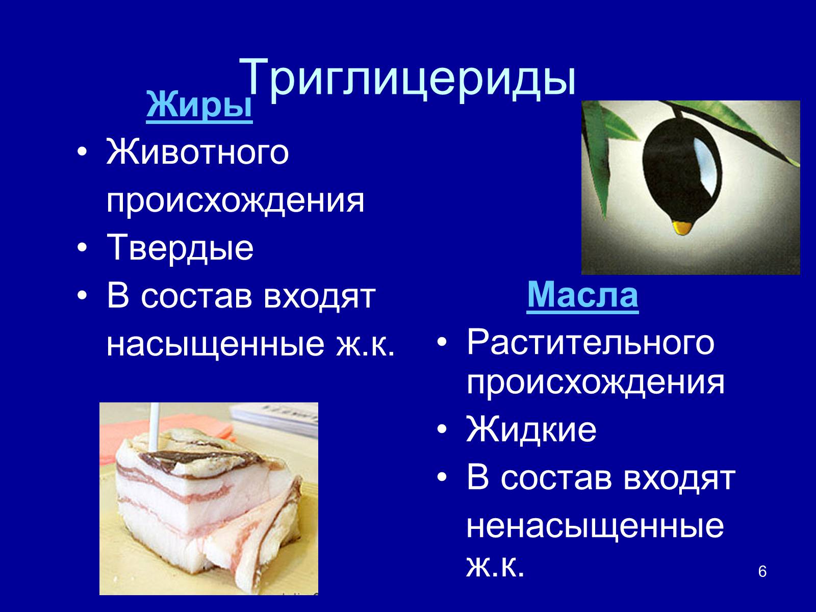 Презентація на тему «Органические вещества: липиды» - Слайд #6 Презентація на тему «Органические вещества: липиды» - Слайд #6