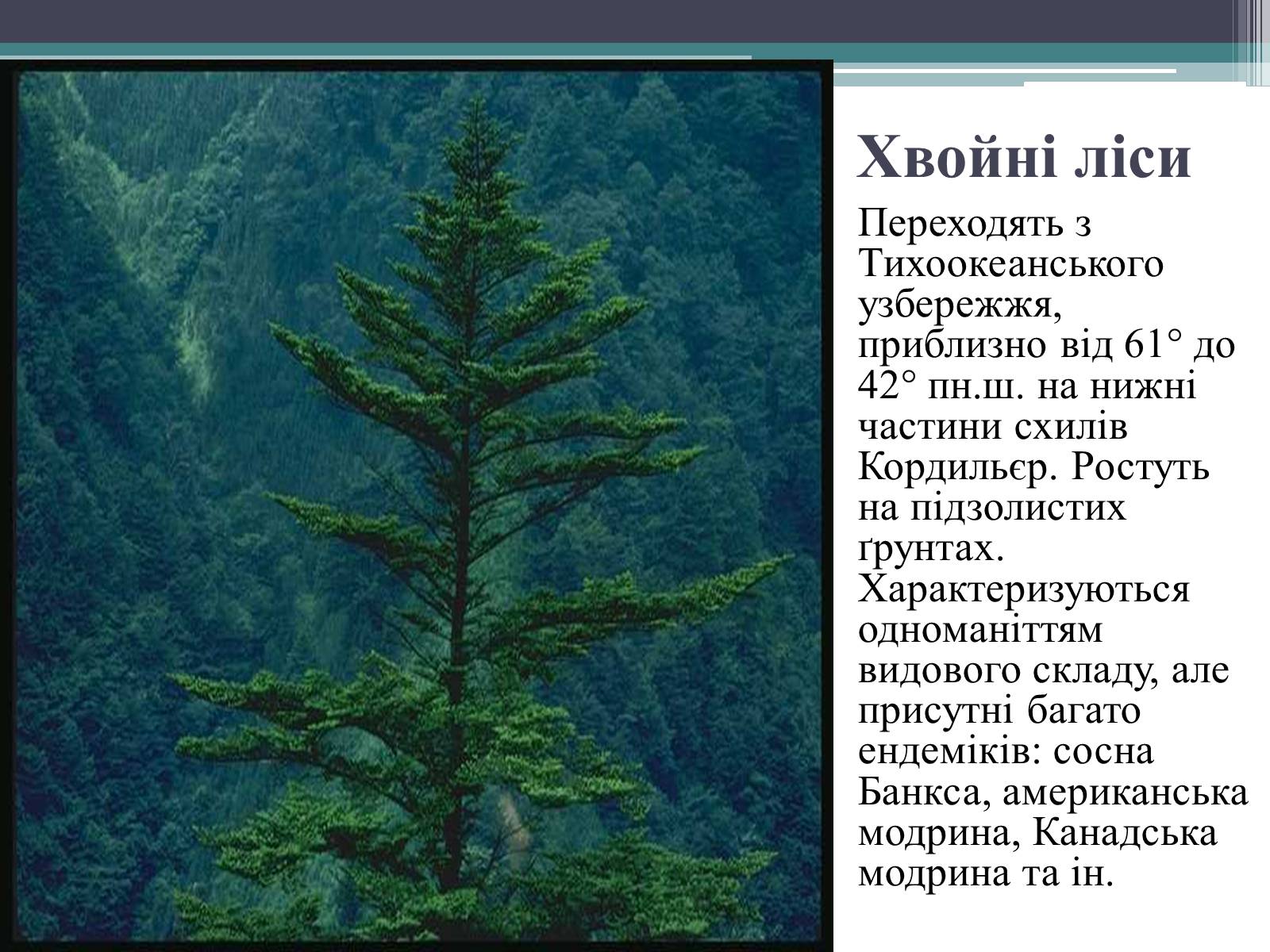 Презентація на тему «Особливості органічного світу Кордільєр» - Слайд #2 Презентація на тему «Особливості органічного світу Кордільєр» - Слайд #2
