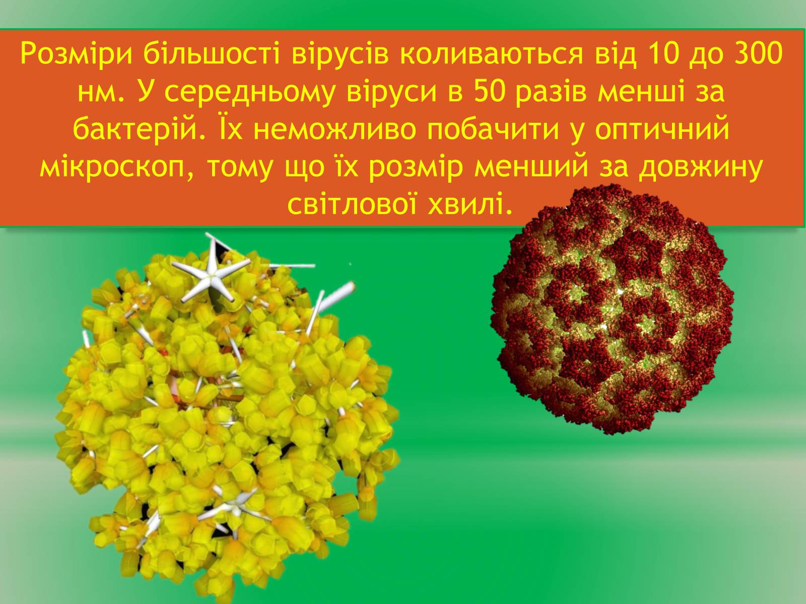 Презентація на тему «Віруси» (варіант 14) - Слайд #5 Презентація на тему «Віруси» (варіант 14) - Слайд #5
