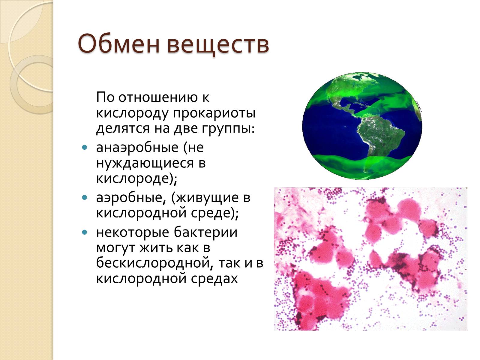 Презентація на тему «Прокариоты» (варіант 3) - Слайд #15 Презентація на тему «Прокариоты» (варіант 3) - Слайд #15