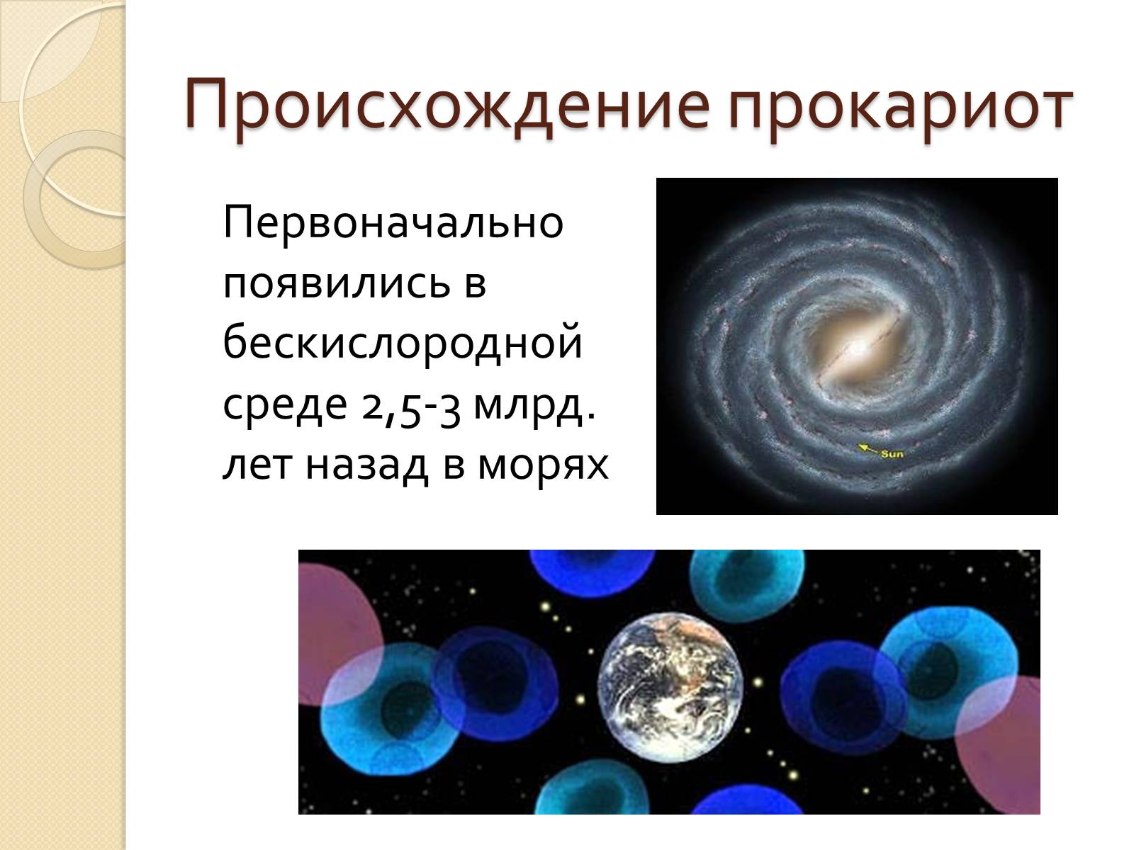 Презентація на тему «Прокариоты» (варіант 3) - Слайд #4 Презентація на тему «Прокариоты» (варіант 3) - Слайд #4