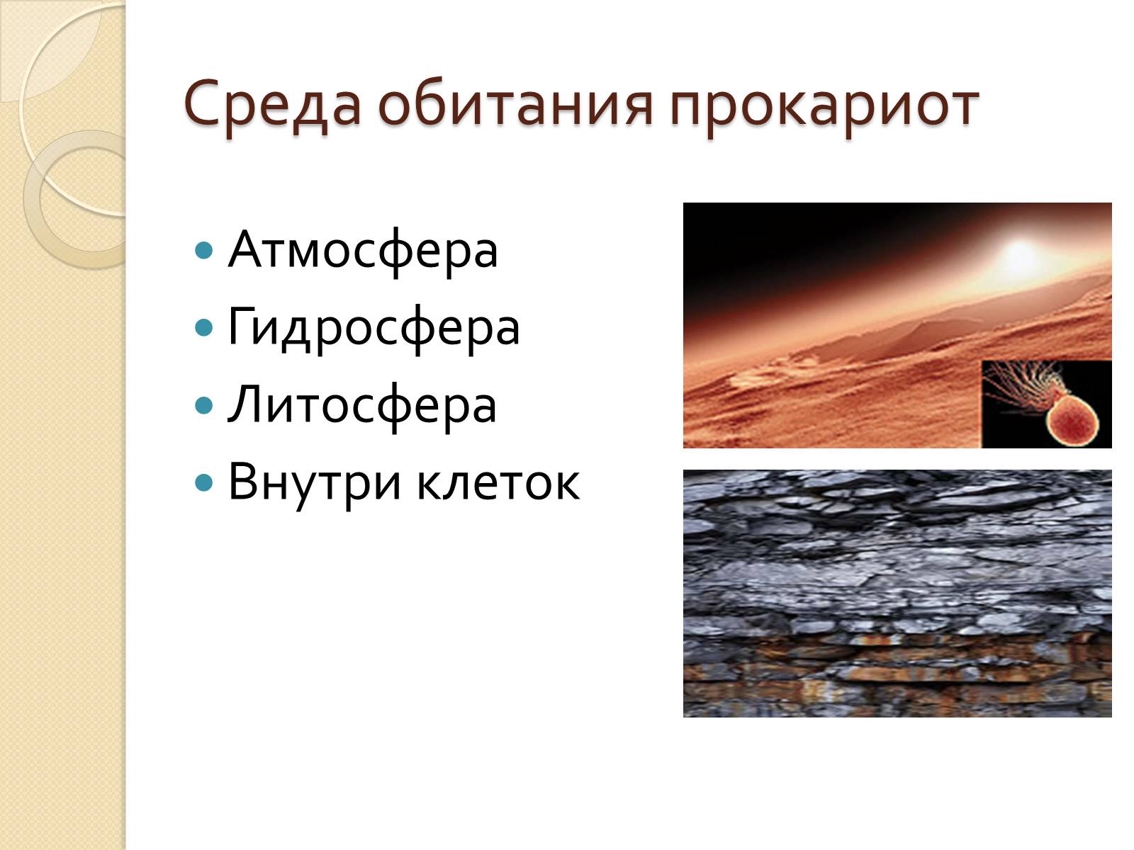 Презентація на тему «Прокариоты» (варіант 3) - Слайд #5 Презентація на тему «Прокариоты» (варіант 3) - Слайд #5