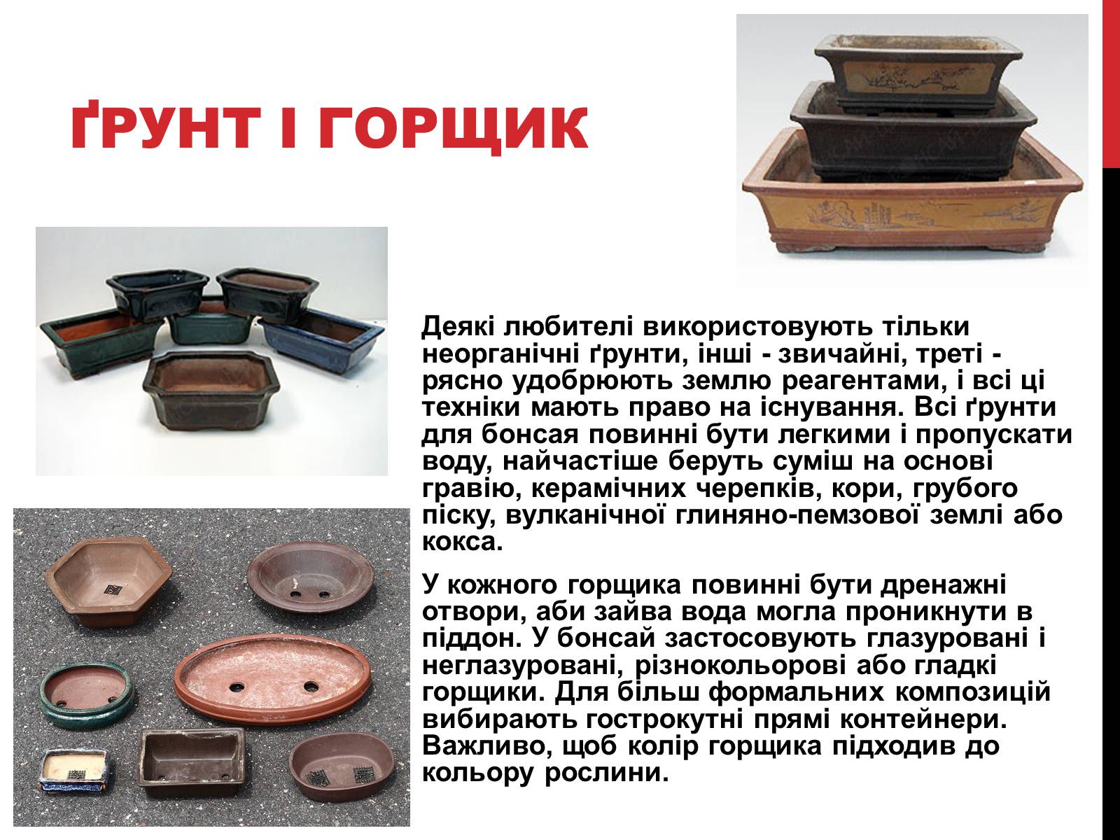 Презентація на тему «Бонсай» - Слайд #6 Презентація на тему «Бонсай» - Слайд #6