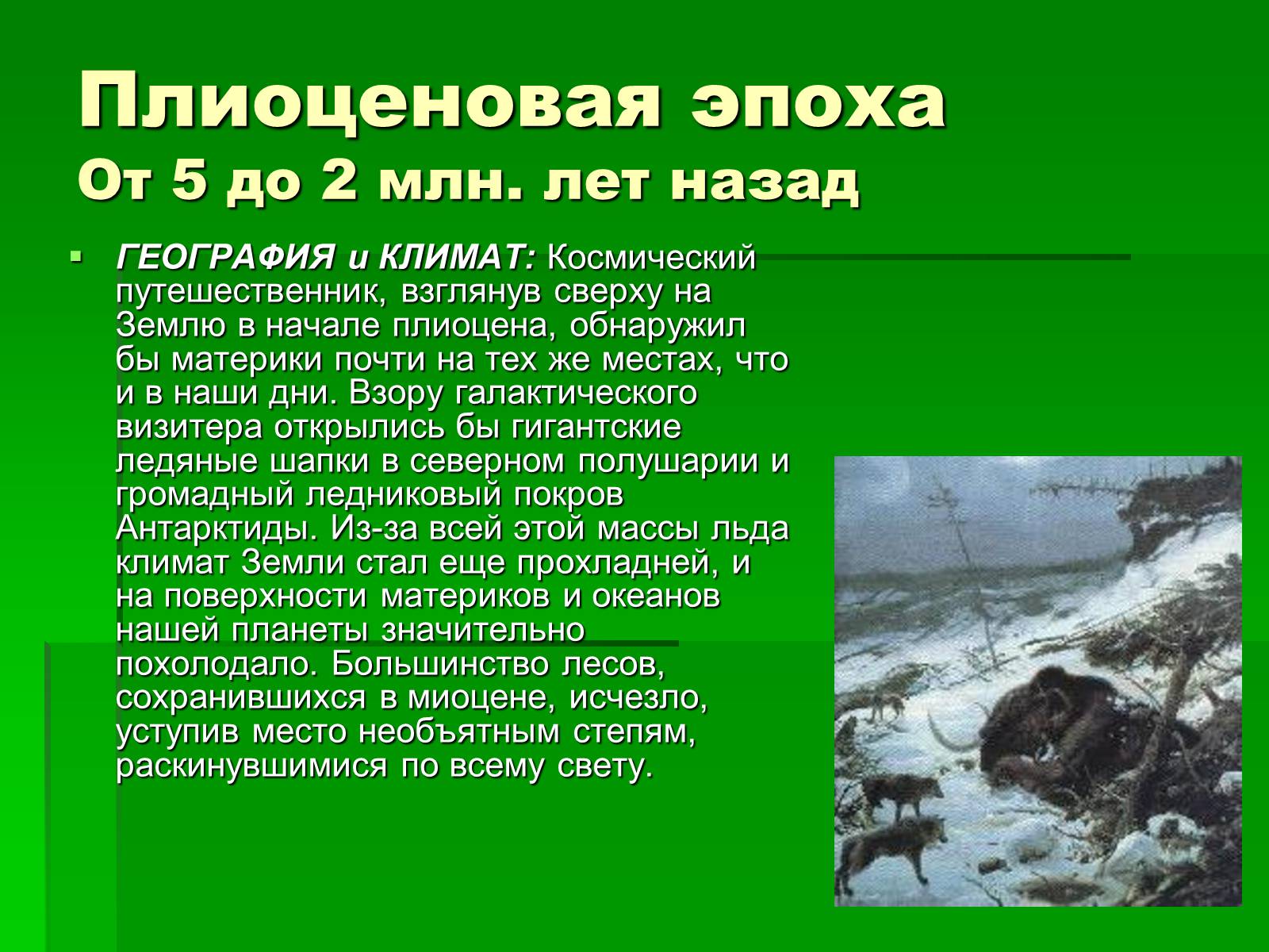 Презентація на тему «Жизнь в кайнозойскую эру» - Слайд #12 Презентація на тему «Жизнь в кайнозойскую эру» - Слайд #12