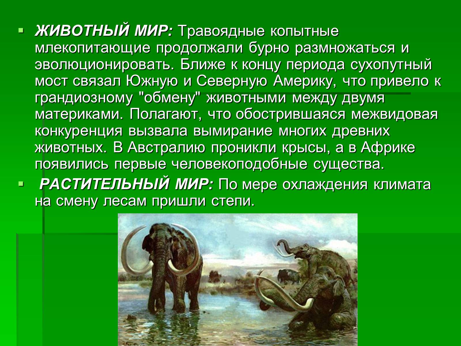 Презентація на тему «Жизнь в кайнозойскую эру» - Слайд #13 Презентація на тему «Жизнь в кайнозойскую эру» - Слайд #13