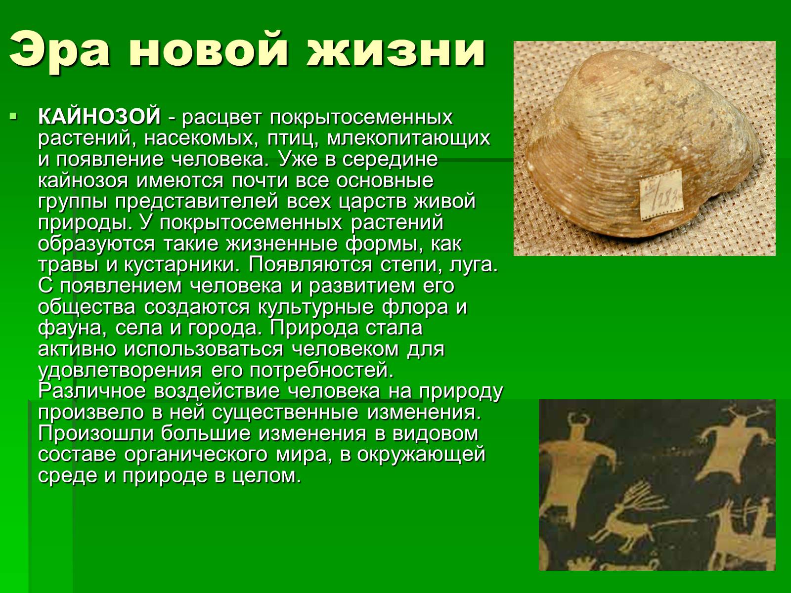 Презентація на тему «Жизнь в кайнозойскую эру» - Слайд #2 Презентація на тему «Жизнь в кайнозойскую эру» - Слайд #2