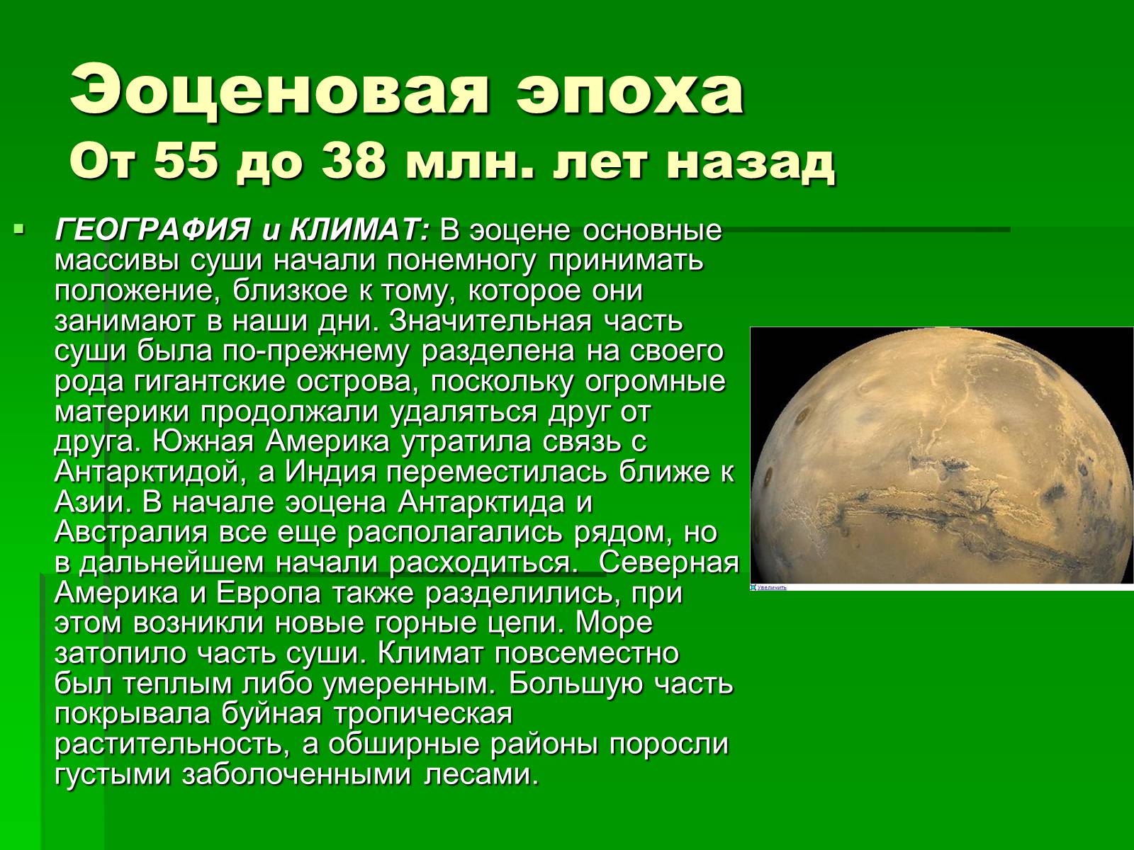 Презентація на тему «Жизнь в кайнозойскую эру» - Слайд #6 Презентація на тему «Жизнь в кайнозойскую эру» - Слайд #6
