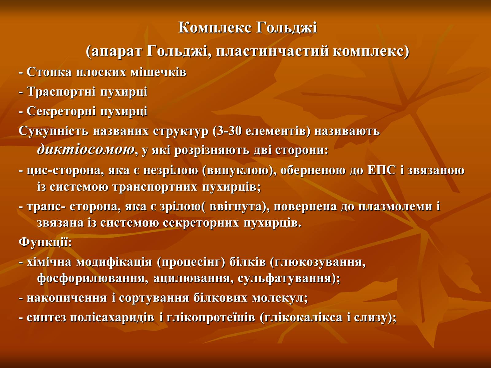Презентація на тему «Основи цитології» - Слайд #17 Презентація на тему «Основи цитології» - Слайд #17