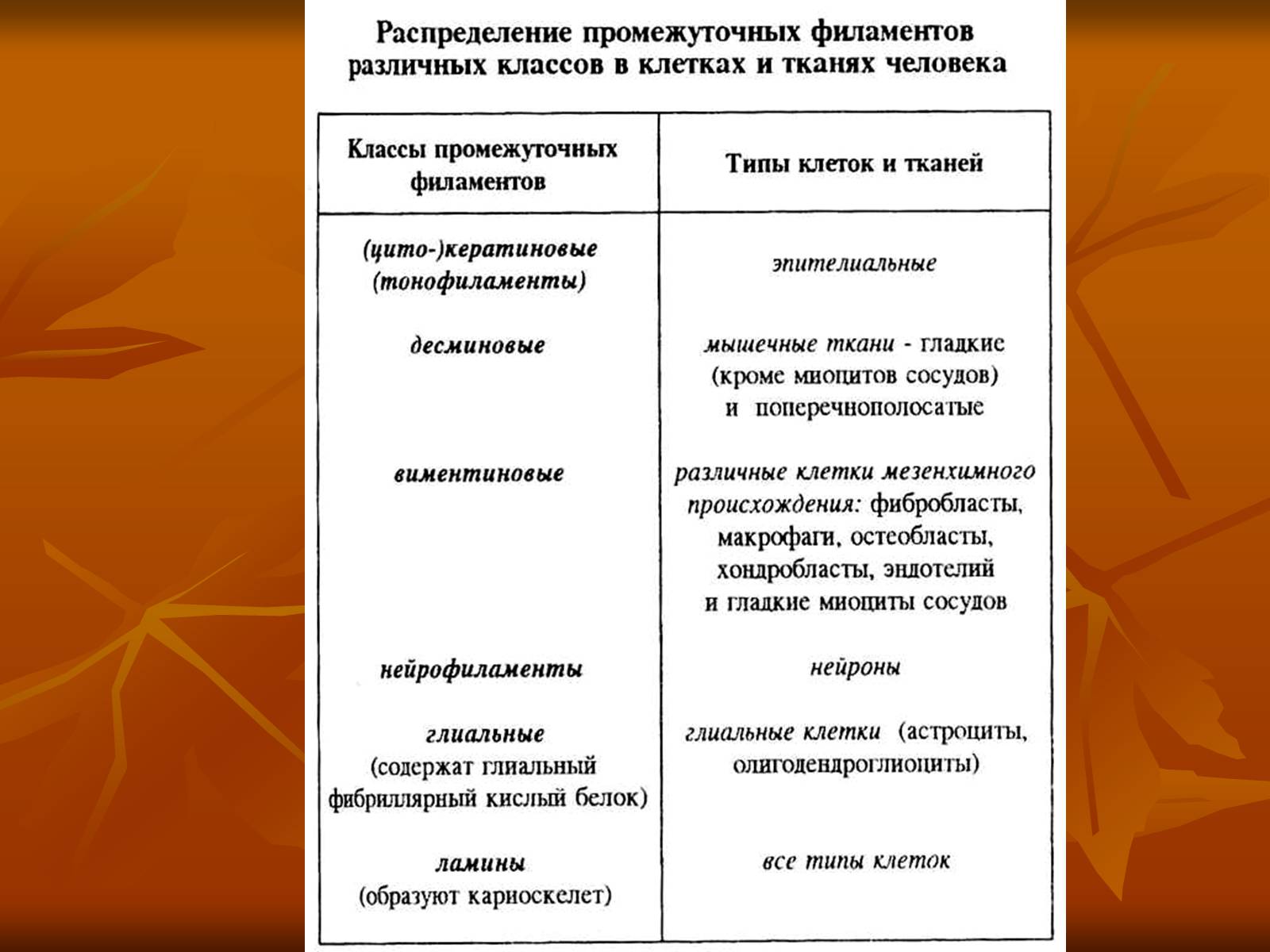 Презентація на тему «Основи цитології» - Слайд #31 Презентація на тему «Основи цитології» - Слайд #31