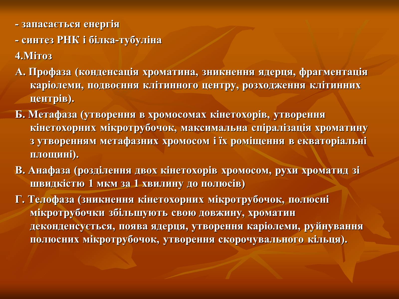 Презентація на тему «Основи цитології» - Слайд #41 Презентація на тему «Основи цитології» - Слайд #41