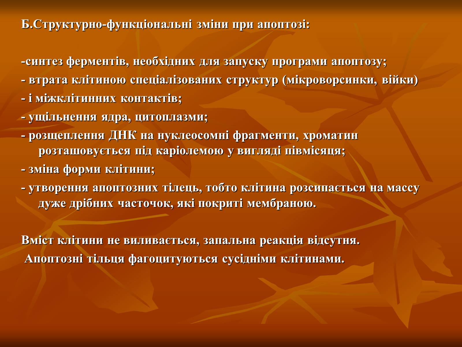 Презентація на тему «Основи цитології» - Слайд #45 Презентація на тему «Основи цитології» - Слайд #45