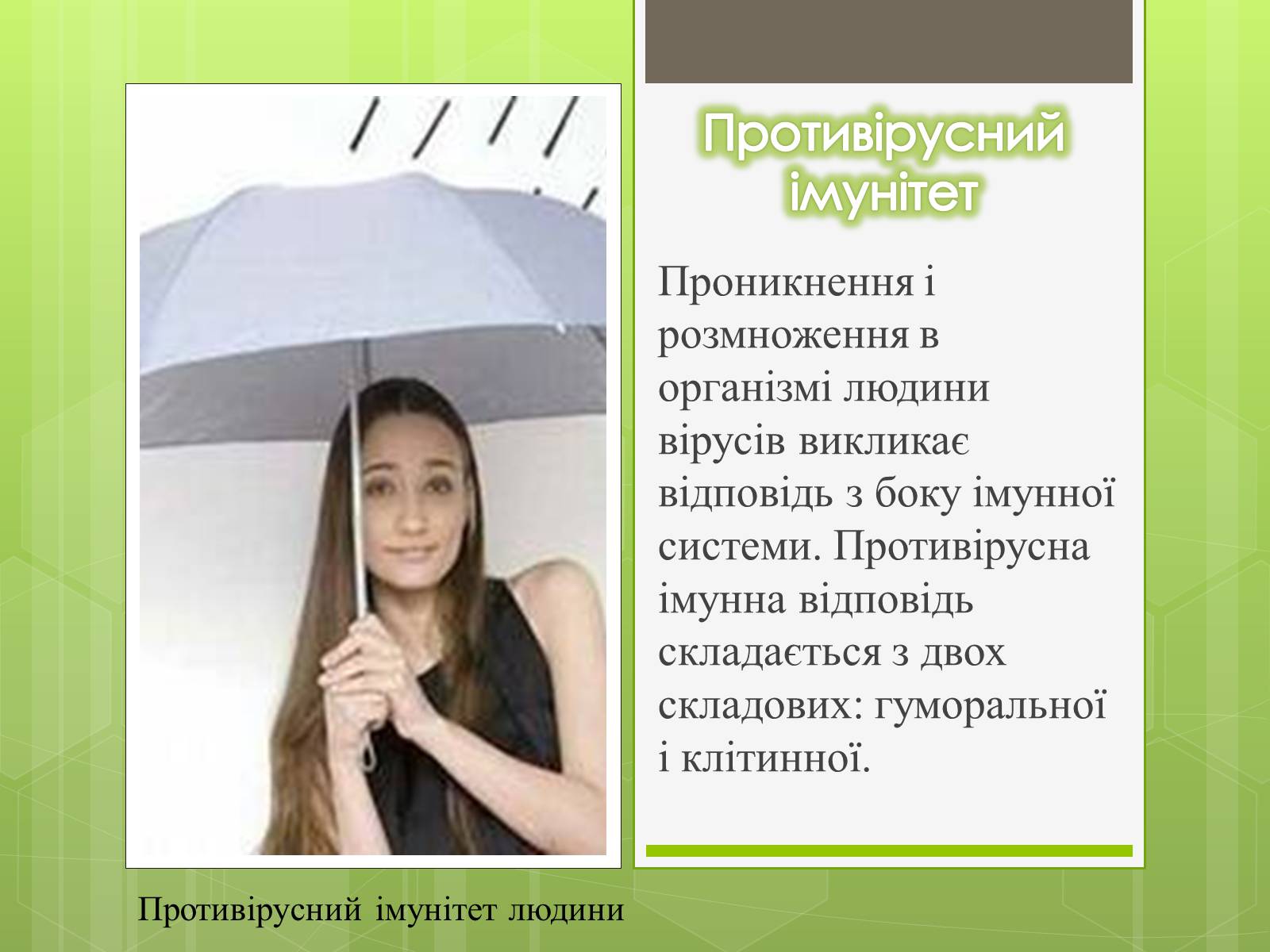 Презентація на тему «Роль вірусів в житті людини» - Слайд #10 Презентація на тему «Роль вірусів в житті людини» - Слайд #10