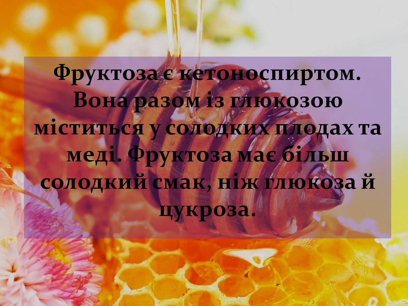 Презентація на тему «Вуглеводи як компоненти їжі, їх роль у житті людини» (варіант 17) - Слайд #12 Презентація на тему «Вуглеводи як компоненти їжі, їх роль у житті людини» (варіант 17) - Слайд #12