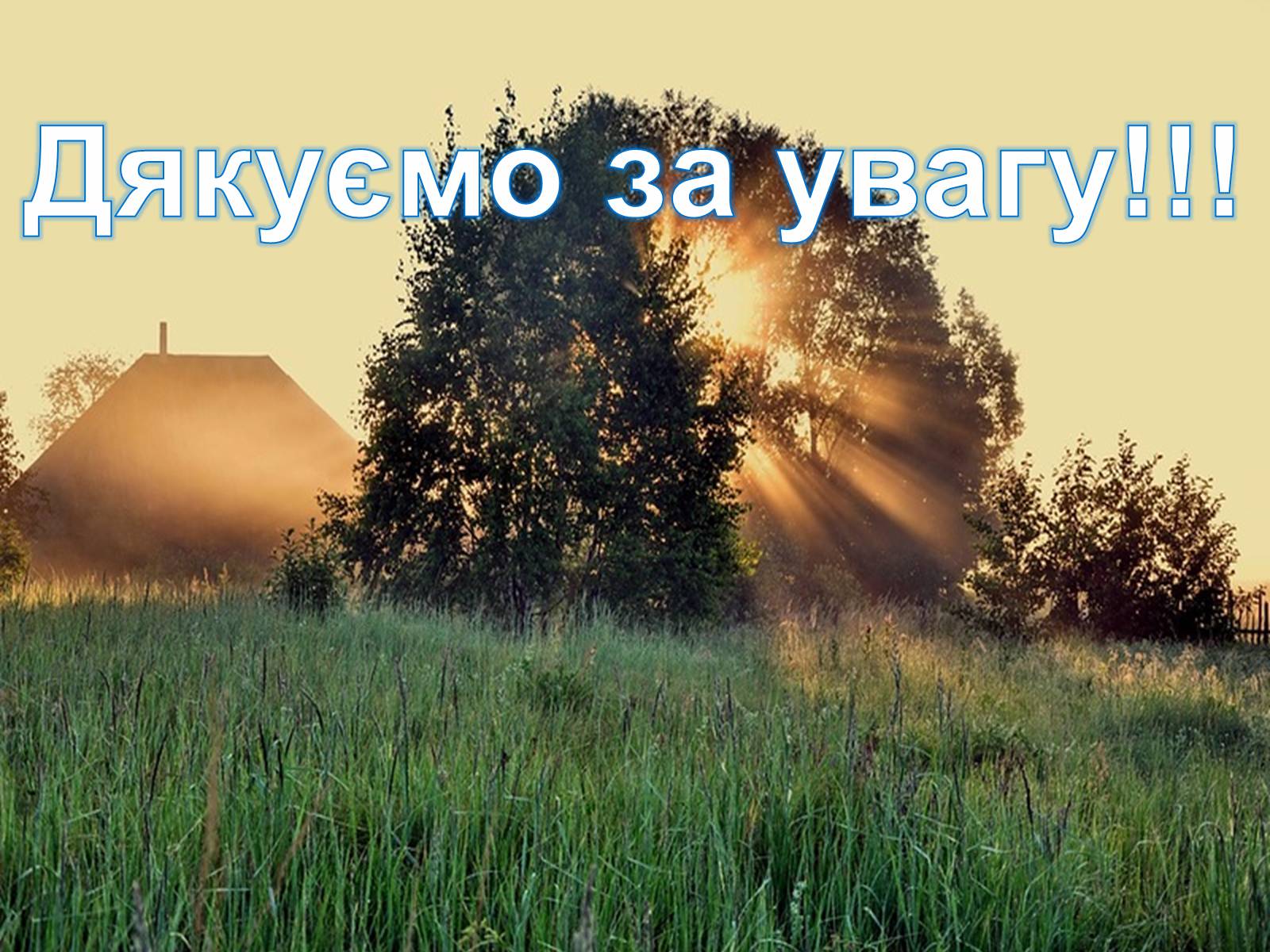 Презентація на тему «Кислотні дощі» (варіант 5) - Слайд #19 Презентація на тему «Кислотні дощі» (варіант 5) - Слайд #19