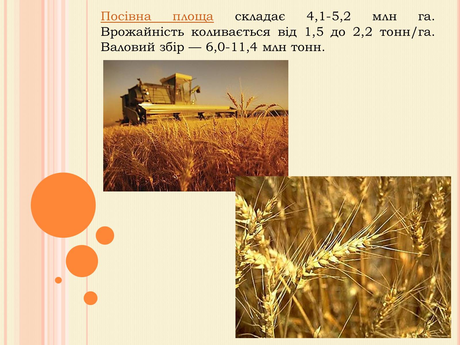 Презентація на тему «Рослинництво» (варіант 2) - Слайд #6 Презентація на тему «Рослинництво» (варіант 2) - Слайд #6