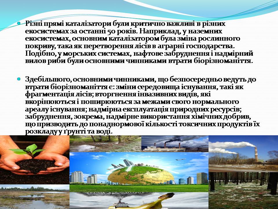 Презентація на тему «Біорізноманіття» (варіант 9) - Слайд #10 Презентація на тему «Біорізноманіття» (варіант 9) - Слайд #10