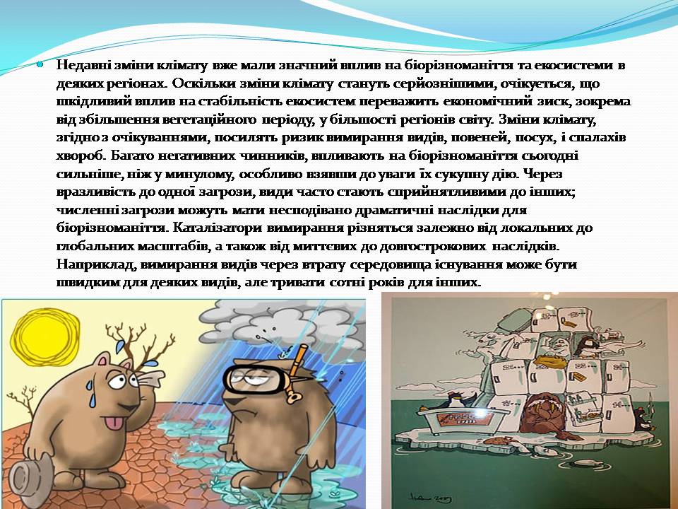 Презентація на тему «Біорізноманіття» (варіант 9) - Слайд #11 Презентація на тему «Біорізноманіття» (варіант 9) - Слайд #11
