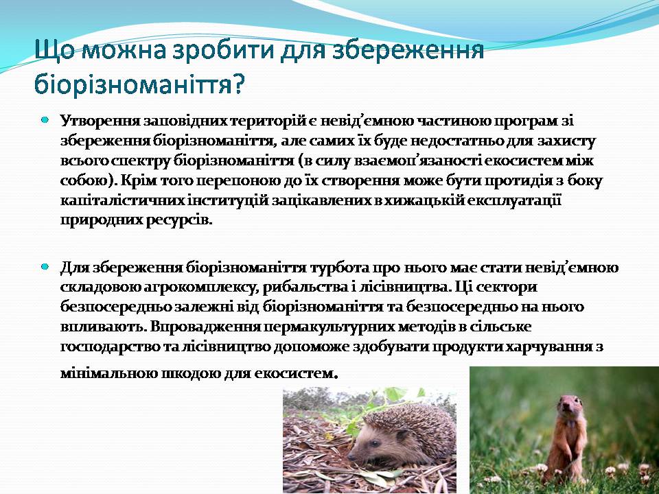 Презентація на тему «Біорізноманіття» (варіант 9) - Слайд #14 Презентація на тему «Біорізноманіття» (варіант 9) - Слайд #14