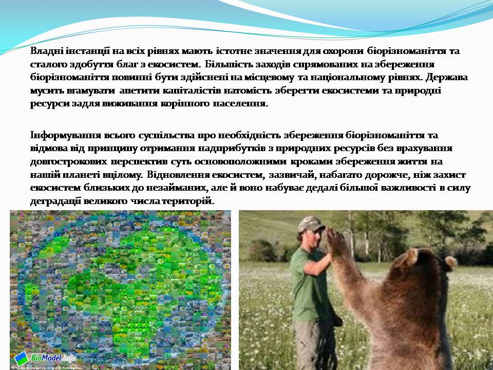 Презентація на тему «Біорізноманіття» (варіант 9) - Слайд #15 Презентація на тему «Біорізноманіття» (варіант 9) - Слайд #15