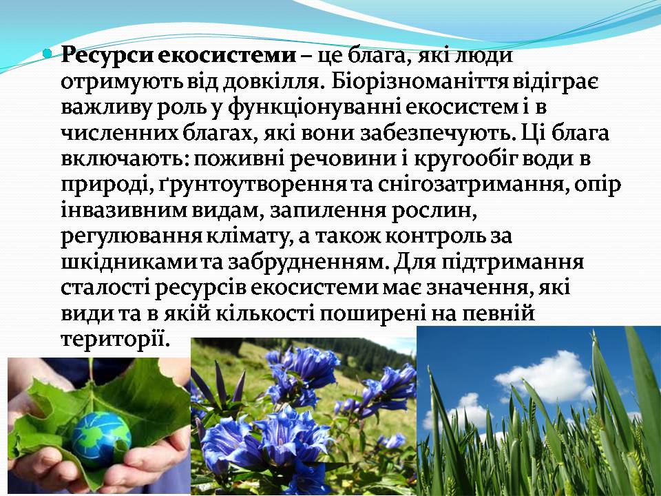 Презентація на тему «Біорізноманіття» (варіант 9) - Слайд #3 Презентація на тему «Біорізноманіття» (варіант 9) - Слайд #3