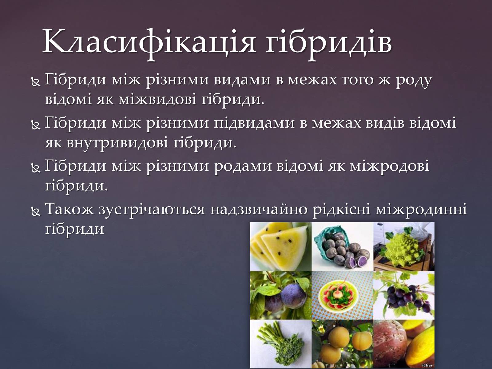 Презентація на тему «Гібриди» - Слайд #2 Презентація на тему «Гібриди» - Слайд #2