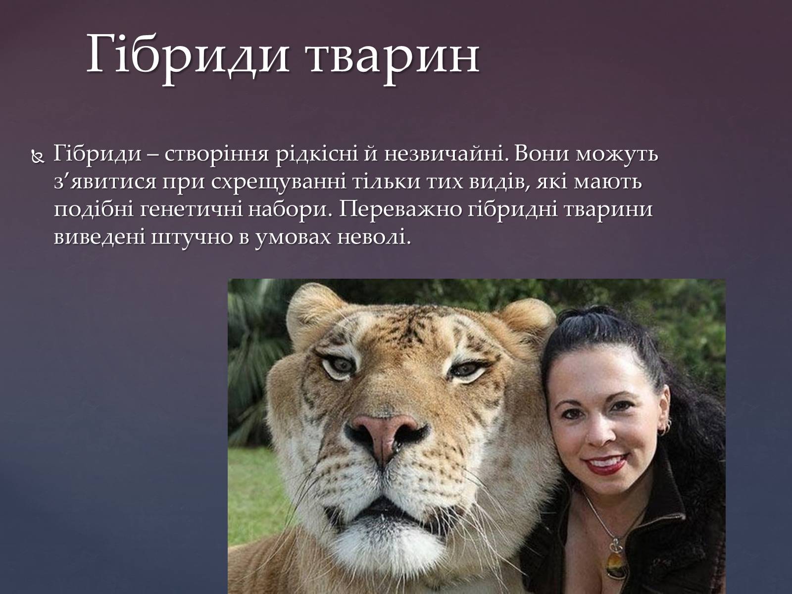 Презентація на тему «Гібриди» - Слайд #7 Презентація на тему «Гібриди» - Слайд #7