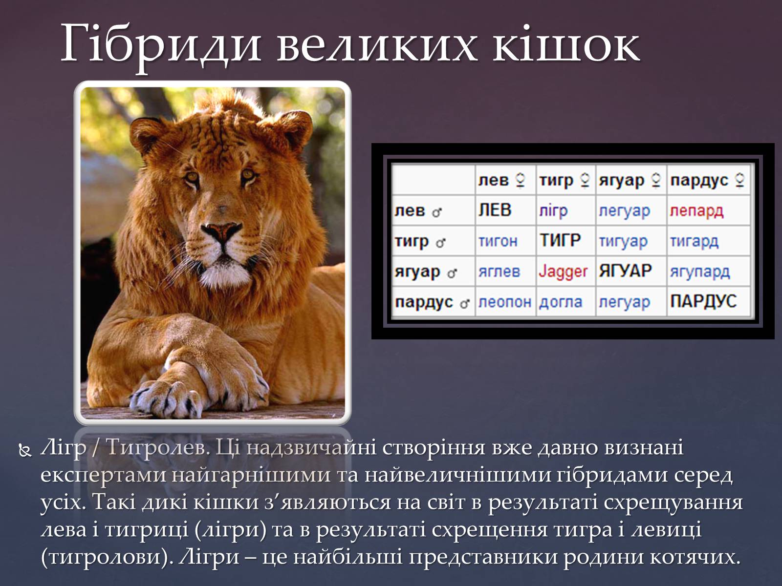Презентація на тему «Гібриди» - Слайд #8 Презентація на тему «Гібриди» - Слайд #8