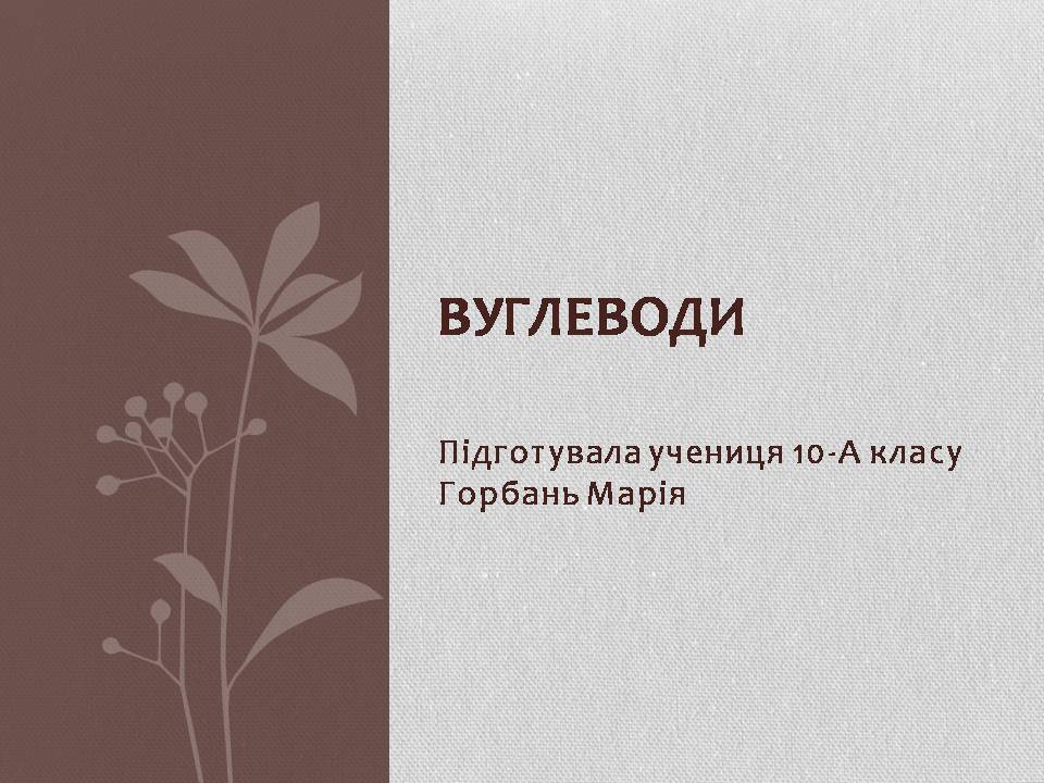 Презентація на тему «Вуглеводи як компоненти їжі, їх роль у житті людини» (варіант 37) - Слайд #1 Презентація на тему «Вуглеводи як компоненти їжі, їх роль у житті людини» (варіант 37) - Слайд #1