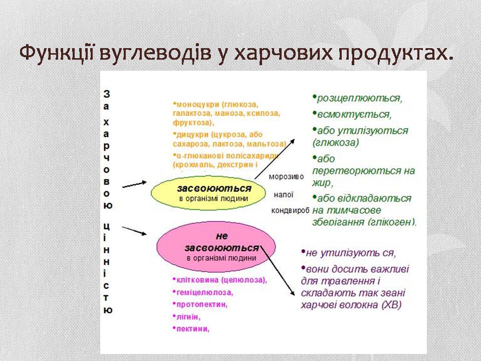 Презентація на тему «Вуглеводи як компоненти їжі, їх роль у житті людини» (варіант 37) - Слайд #10 Презентація на тему «Вуглеводи як компоненти їжі, їх роль у житті людини» (варіант 37) - Слайд #10